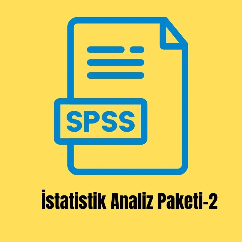 İstatistik Analiz Paketi-2