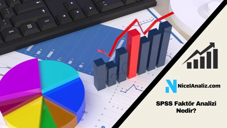 SPSS Faktör Analizi Nedir? Nasıl Yapılır?