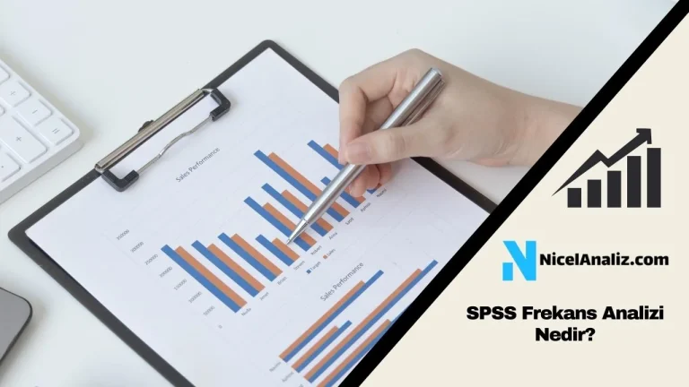 SPSS Frekans Analizi Nedir? Nasıl Yapılır?