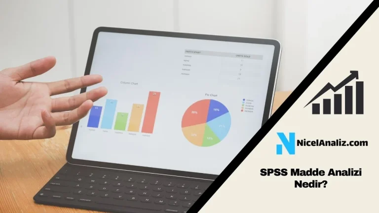 SPSS Madde Analizi Nedir? Nasıl Yapılır?