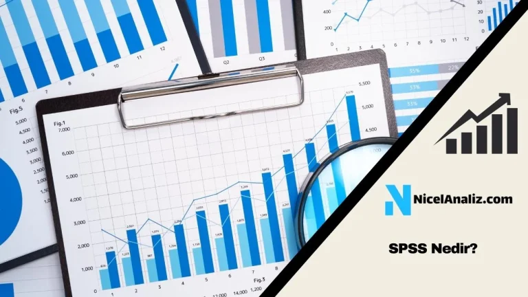 SPSS Nedir? Ne İşe Yarar? İşlevi Nedir? Faydaları nelerdir?