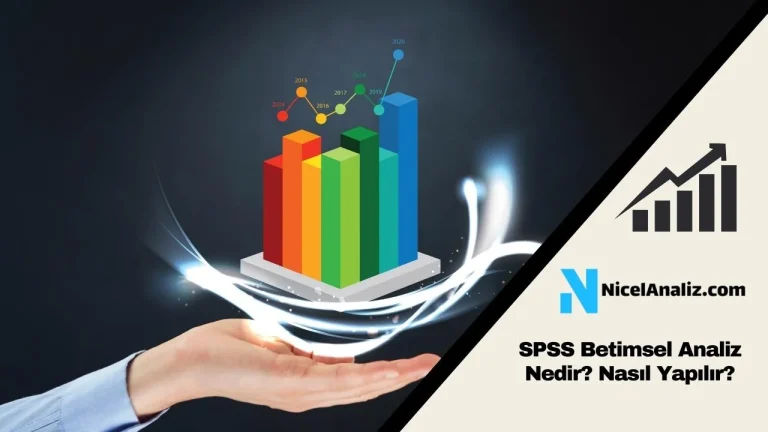 SPSS Betimsel Analiz Nedir? Nasıl Yapılır?