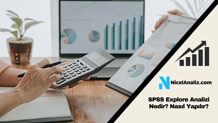 SPSS Explore Analizi Nedir? Nasıl Yapılır?