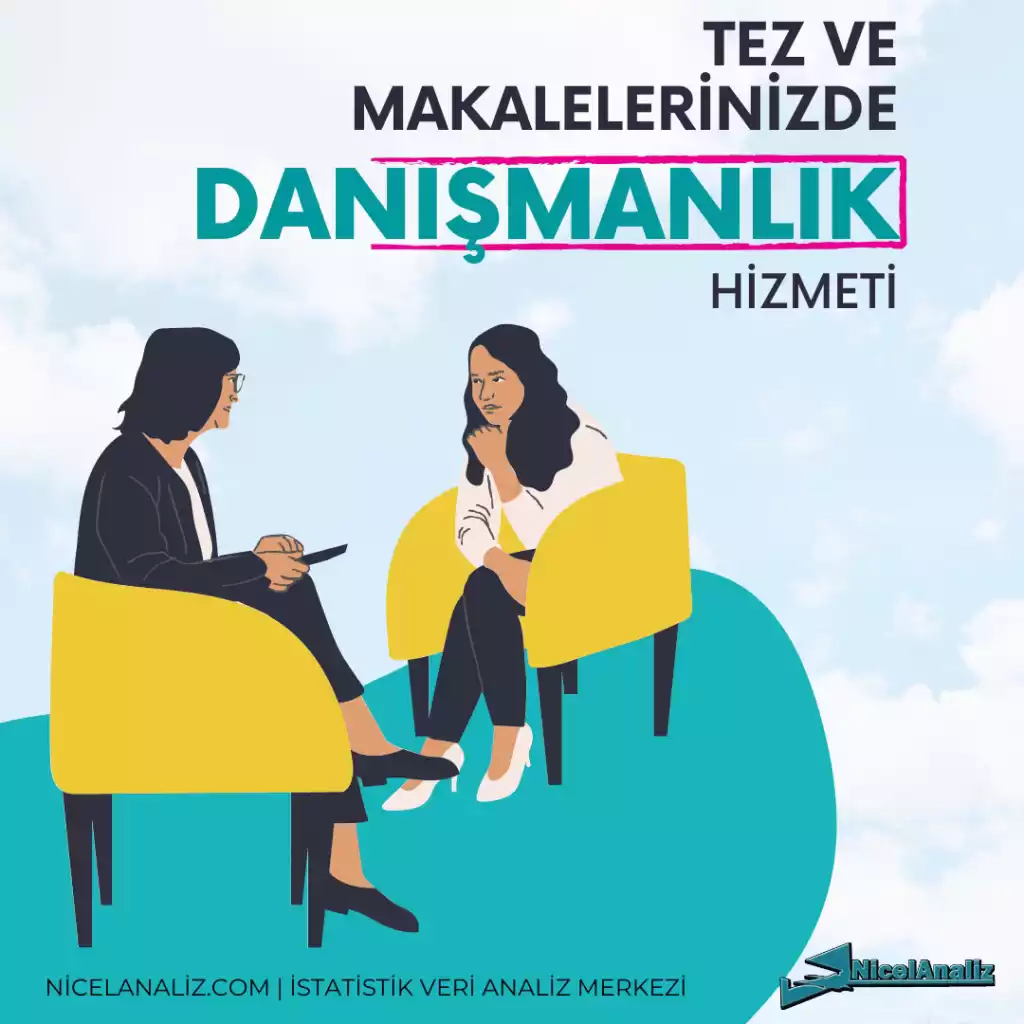 istatistik-danismanlik-hizmeti